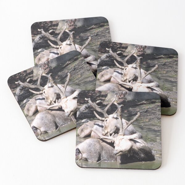 Item preview, MUD BATH designed and sold by BOLLA67.