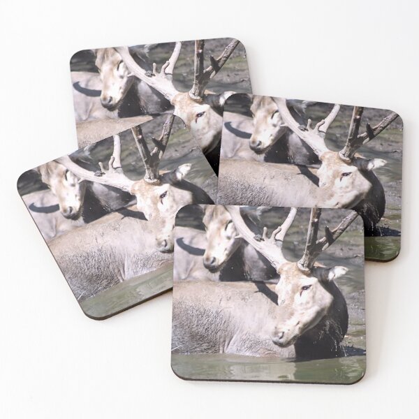 Item preview, COOLING OFF designed and sold by BOLLA67.