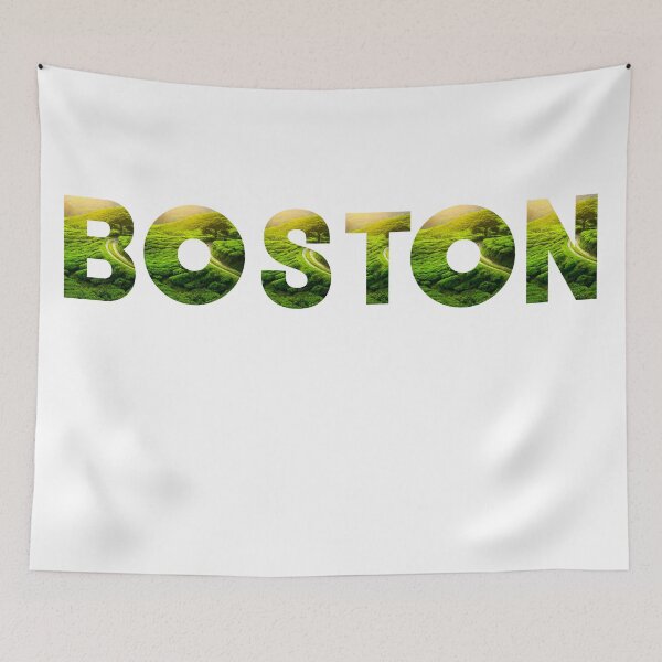 Item preview, boston  in massachussets designed and sold by morrismorgan.