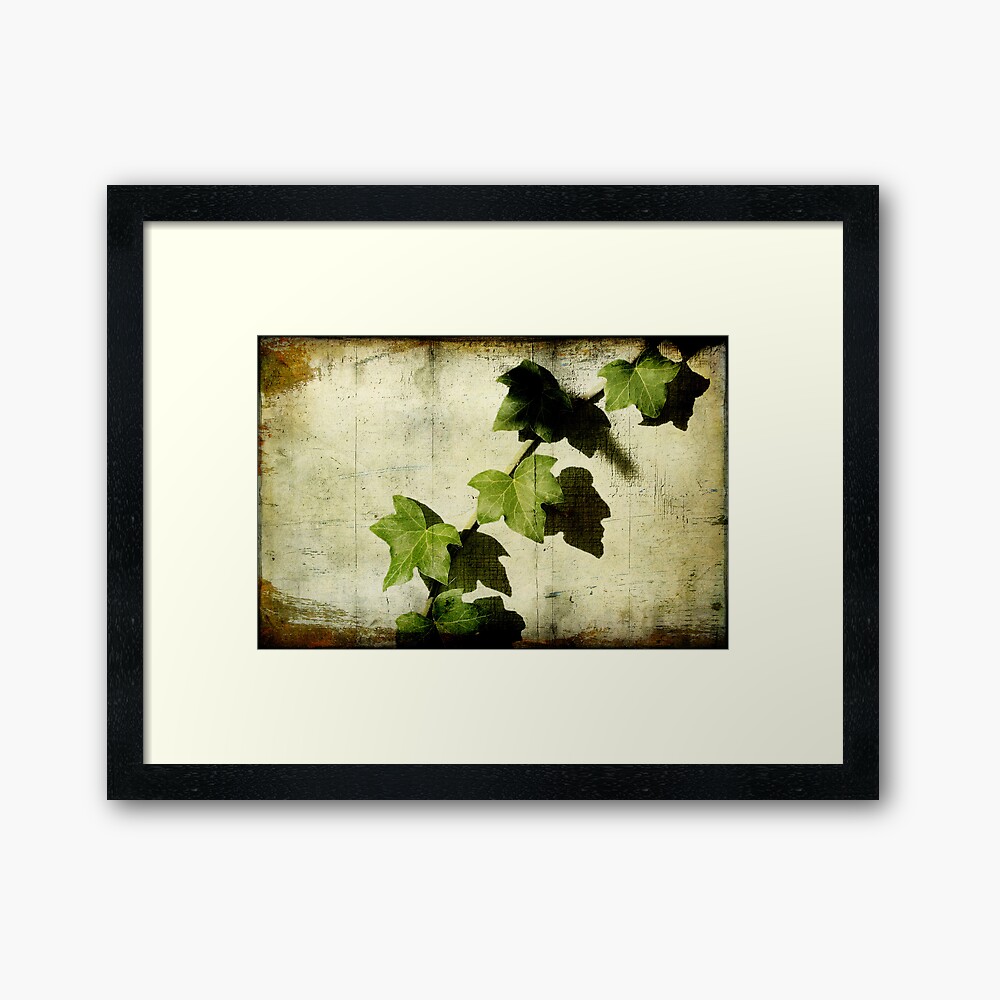 Ivy Framed Art Print