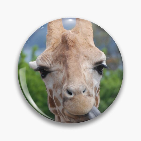 Item preview, FUNNY HUNGRY GIRAFFE | Animal Photo designed and sold by PhotoStory.