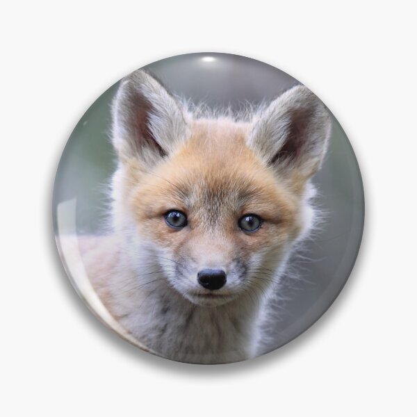 Item preview, Fox Kit designed and sold by mlorenz.