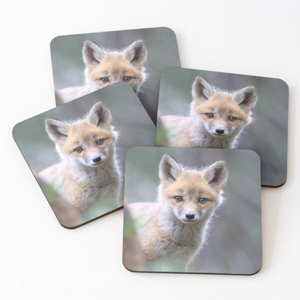 Item preview, Fox Kit designed and sold by mlorenz.