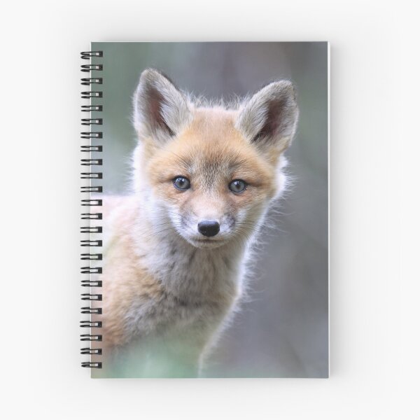 Item preview, Fox Kit designed and sold by mlorenz.
