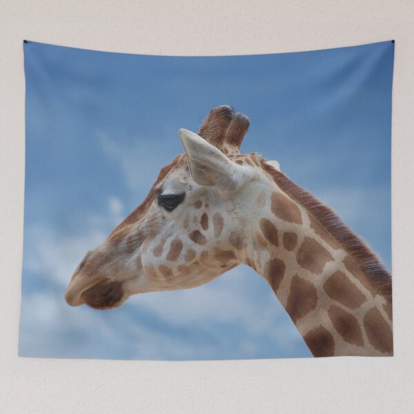 Item preview, TALL GIRAFFE | Animal Photo designed and sold by PhotoStory.