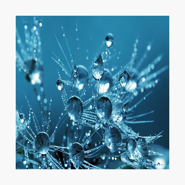Water Droplets Photographic Print