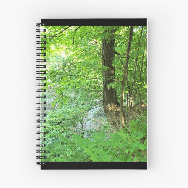 Aperçu de l'œuvre Forêt et cascade: Mod 1 créée et vendue par Mind2Line.