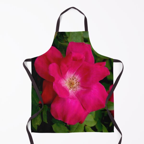Item preview, Burst of Pink designed and sold by Walsh Arts.