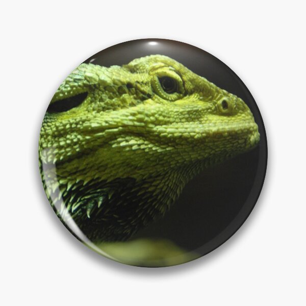 Item preview, GIANT LIZARD | Animal Photo designed and sold by PhotoStory.