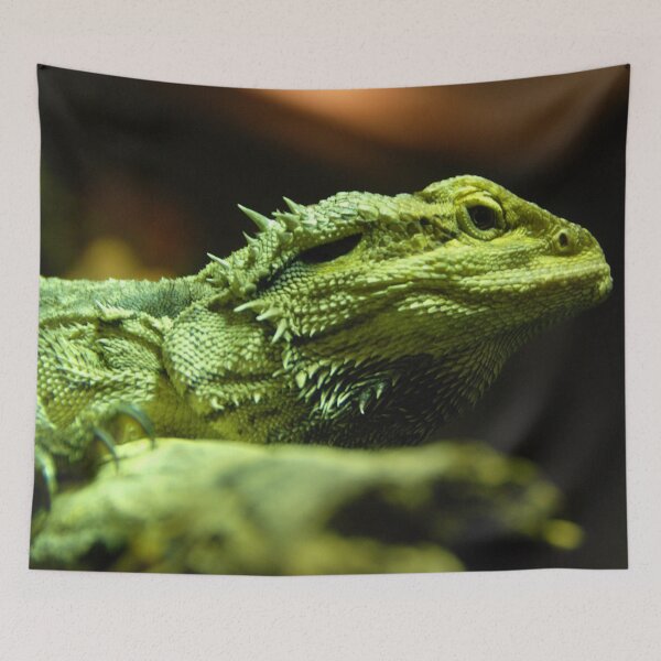 Item preview, GIANT LIZARD | Animal Photo designed and sold by PhotoStory.