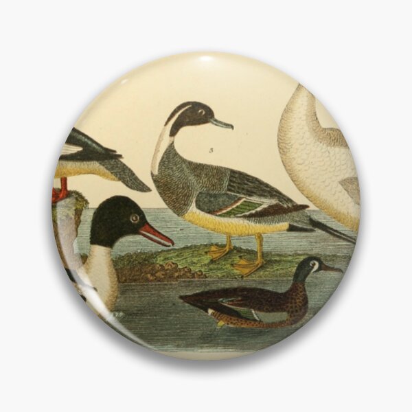 Item preview, Naturalist Ducks designed and sold by BlueSpecsStudio.