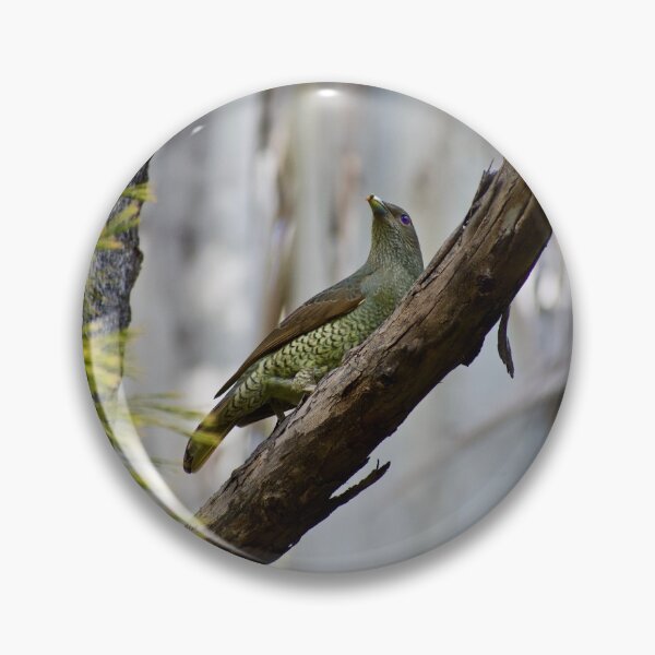 Item preview, The Female Bowerbird designed and sold by peterhau.