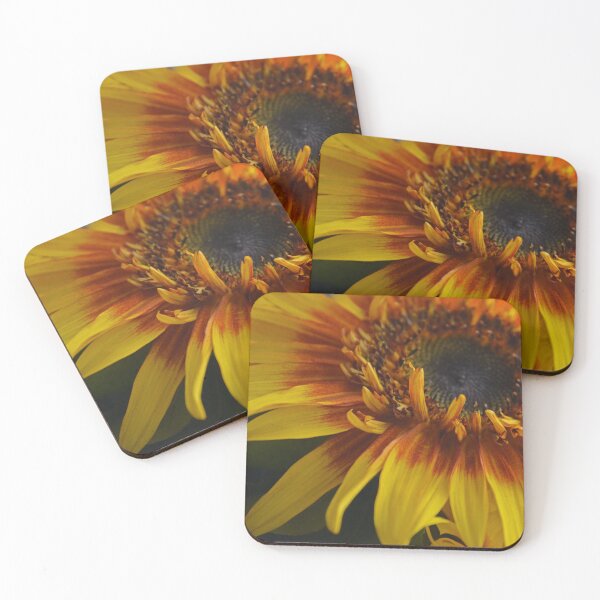 Item preview, Macro- Sunflower designed and sold by Whisperingpeaks.