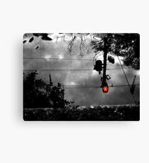 JD&J Canvas Print