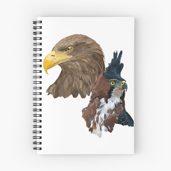 Aperçu de l'œuvre Pigargo et Falcon créée et vendue par obscurite.