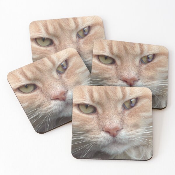Item preview, Toastie designed and sold by Roz McQuillan Fine Art & Photography.