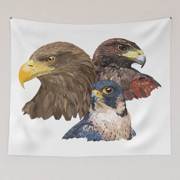 Item preview, Pigargo and Falcons designed and sold by obscurite.