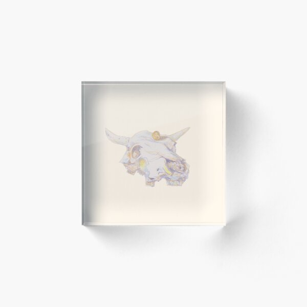 Desert Skull with an Orange Acrylic Block