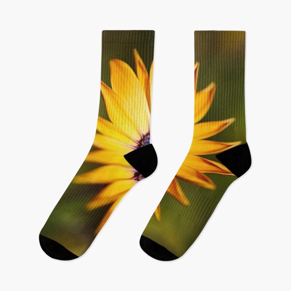 Item preview, African Daisy Hello designed and sold by Joy Watson - Natural Light Photography .