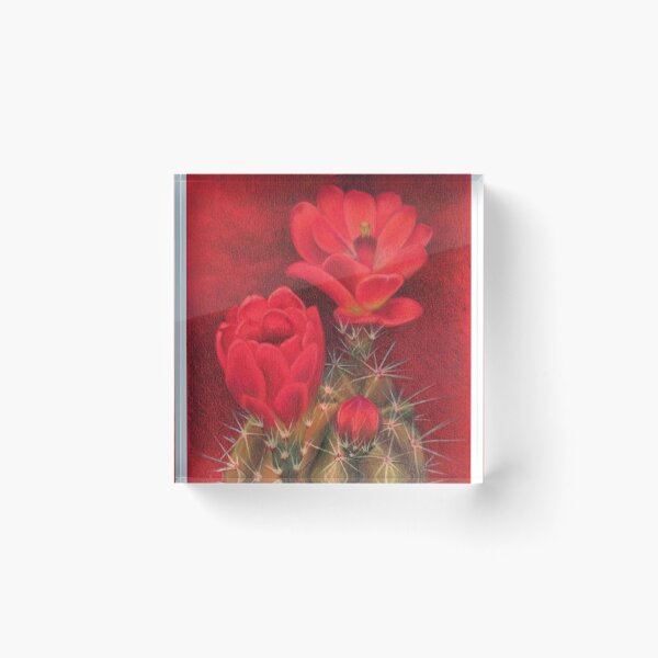 Item preview, Claret Cup Cactus designed and sold by WyoClements.
