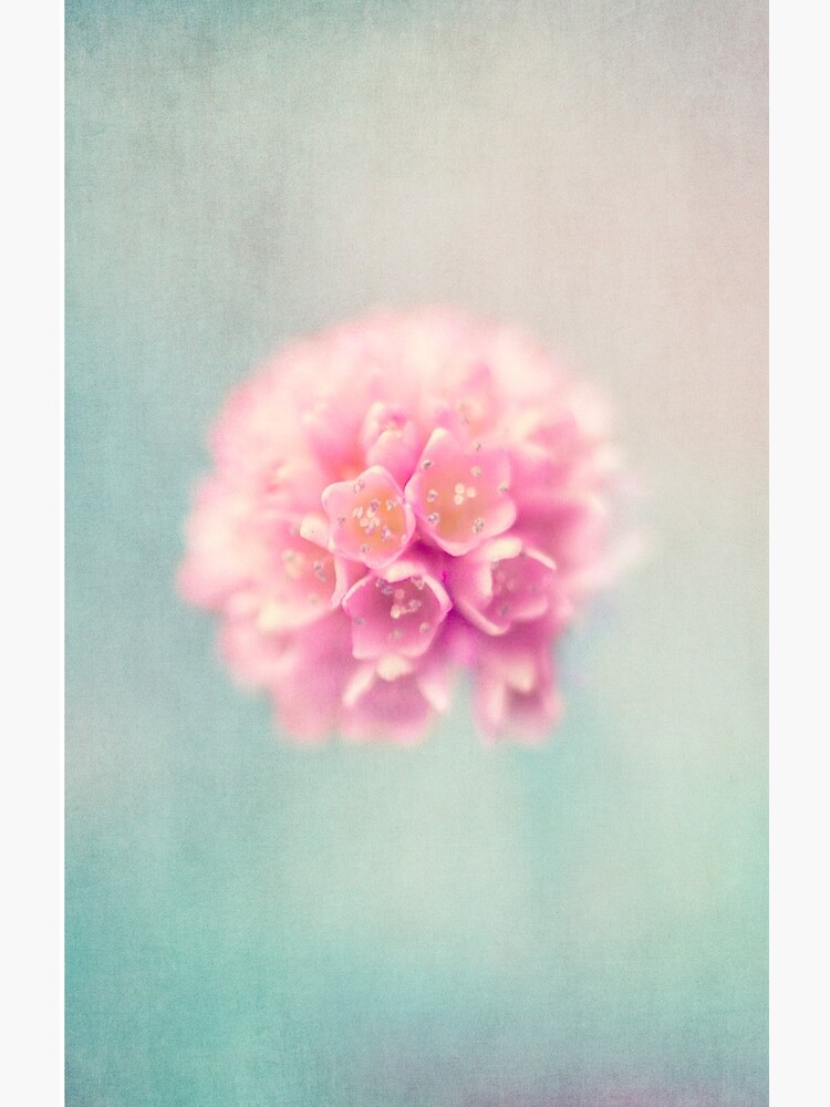baby pink by Ingz