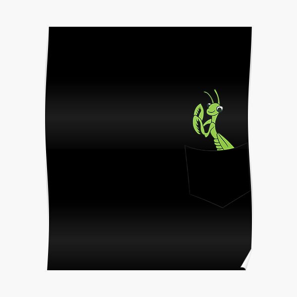 Praying Mantis In The Pocket Insect Praying Mantis Poster
