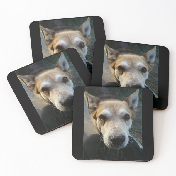 Item preview, Getting Eyeballed by Rex designed and sold by Roz McQuillan Fine Art & Photography.