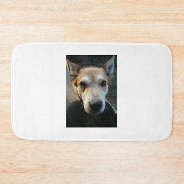 Item preview, Getting Eyeballed by Rex designed and sold by Roz McQuillan Fine Art & Photography.