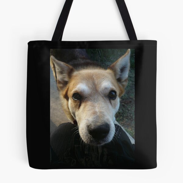 Item preview, Getting Eyeballed by Rex designed and sold by Roz McQuillan Fine Art & Photography.
