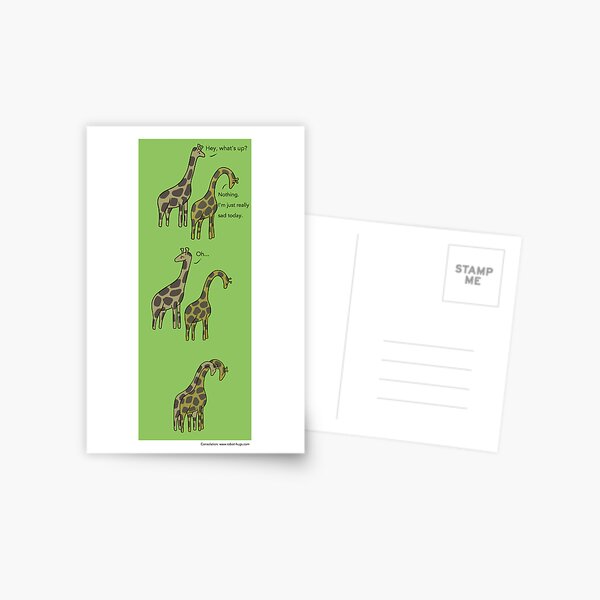 Consolation: Giraffes Postcard