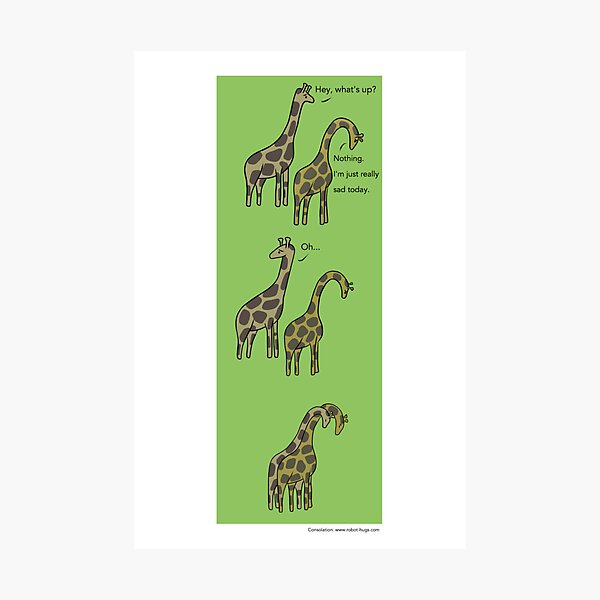 Consolation: Giraffes Photographic Print