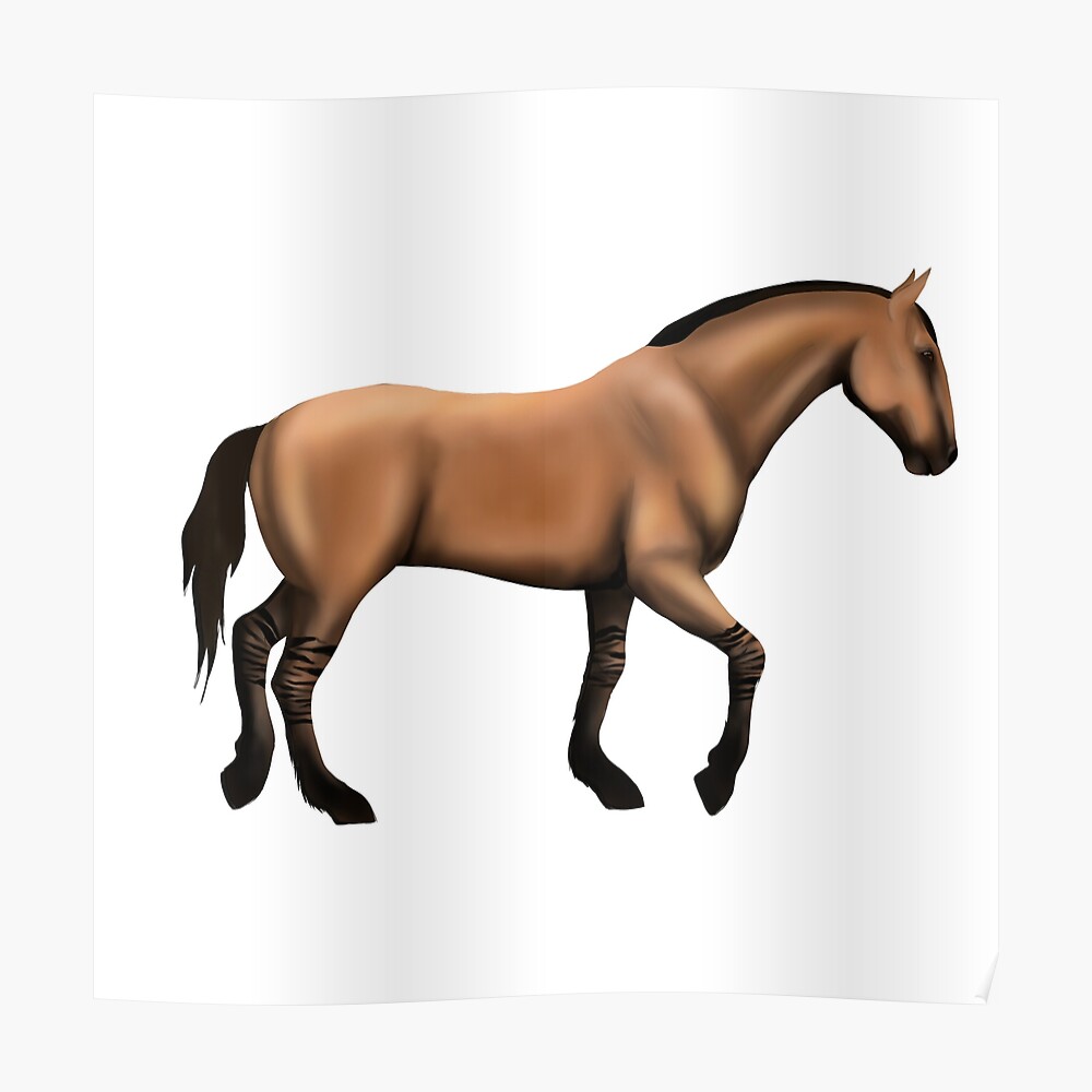 tiger striped bay mustang horse poster by artbyolivia d redbubble tiger striped bay mustang horse poster by artbyolivia d redbubble