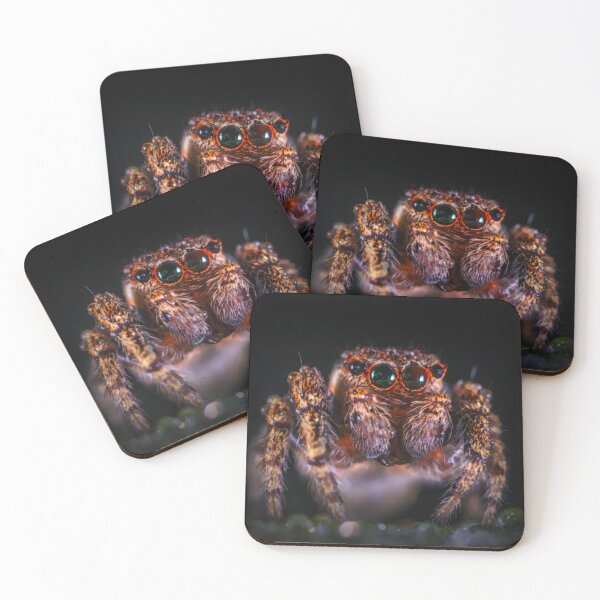 Item preview, Jumping Spider  designed and sold by Heathermarie321.