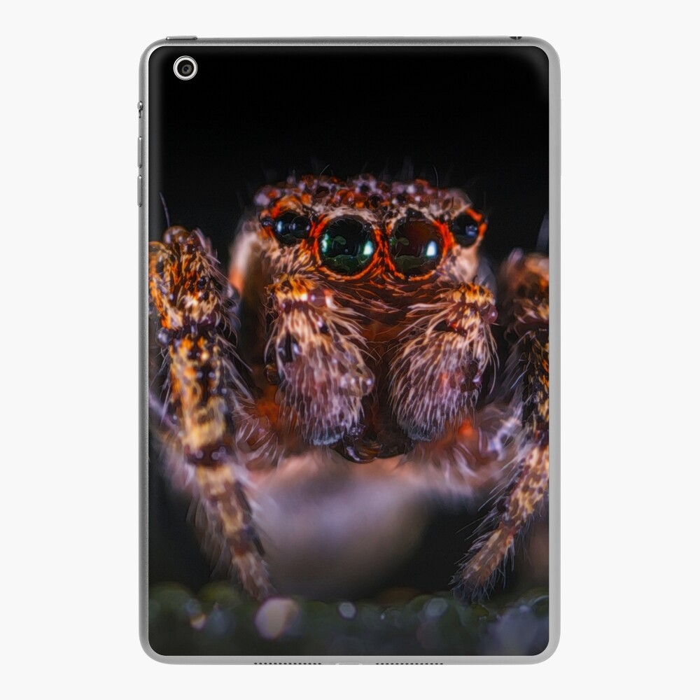 Magnetic Jumping Spider Daisy Hide Available in Various Colours 