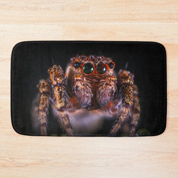 Item preview, Jumping Spider  designed and sold by Heathermarie321.