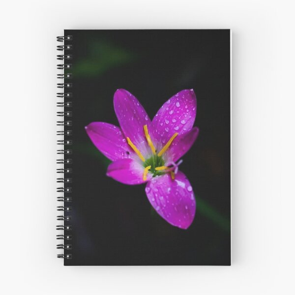 Artikelvorschau, Rosa Blumen-Nahaufnahme entworfen und verkauft von PatilDesigns.