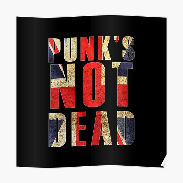punks not dead Poster