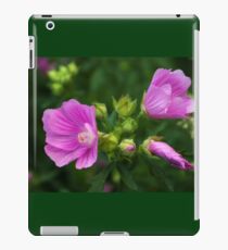 Delightful pink Mallow flowers iPad Case/Skin