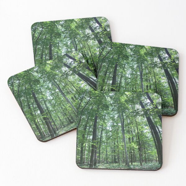 Item preview, Trees in Forest designed and sold by abbymiller318.