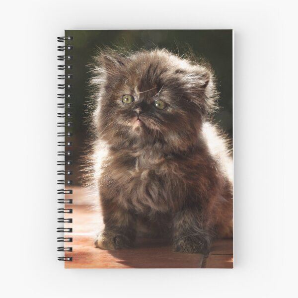 Item preview, ...and whiskers on kittens... designed and sold by micklyn.