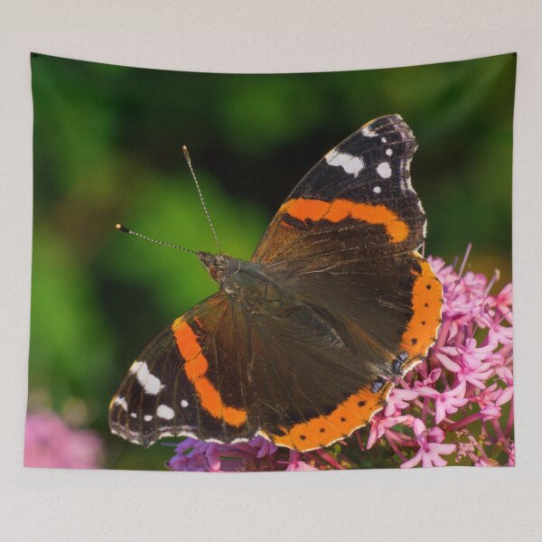 Item preview, Red Admiral butterfly designed and sold by iCimages.net.