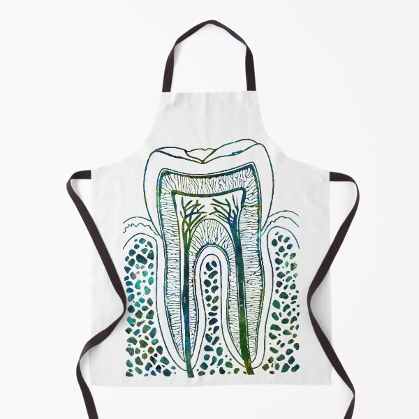 Item preview, Human Tooth Structure designed and sold by EvasDreams.