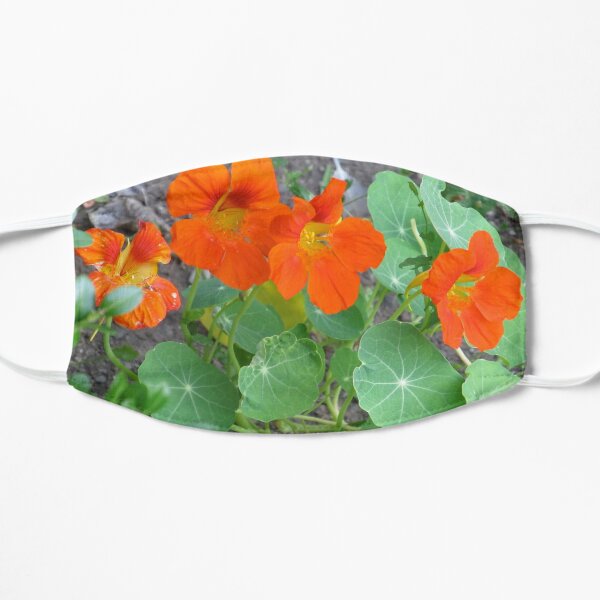 Orange Nasturtiums Photo Plants Pretty Garden Flat Mask