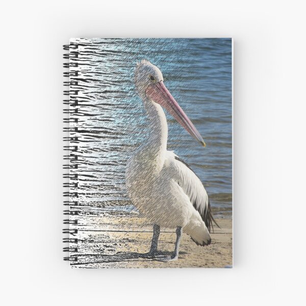 Digiatally enhanced Photograph Pelican Fliter Merge Line Art Spiral Notebook