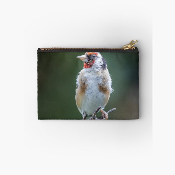 Item preview, Goldfinch spotted in the summer garden designed and sold by Kipcio.