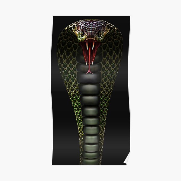 3d King Cobra Poster