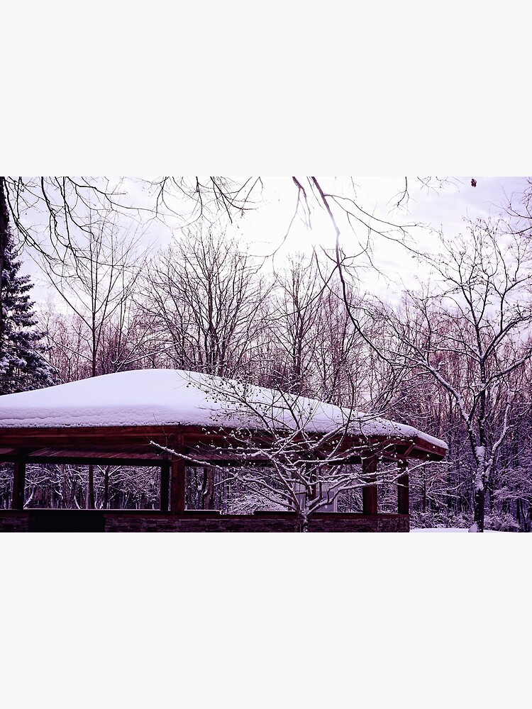Thumbnail 3 of 3, Photographic Print, In a Winter Park designed and sold by Mallorn.
