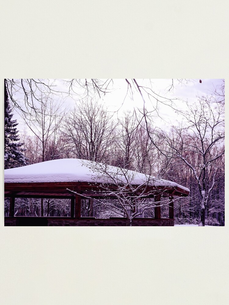 Thumbnail 1 of 3, Photographic Print, In a Winter Park designed and sold by Mallorn.