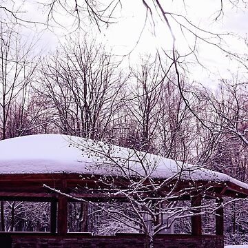 Artwork thumbnail, In a Winter Park by Mallorn