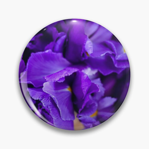 Artikelvorschau, Lila Zwerg Iris Blumenmuster entworfen und verkauft von Marguerite Faure.